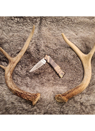 Hunter's Advantage Team Realtree Folding Pocket Knife Plain Edge Lockback Camo