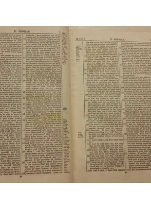 The Apocrypha Revised Version Translated From Greek Latin Thomas Nelson 1894 VTG
