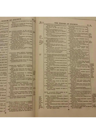 The Apocrypha Revised Version Translated From Greek Latin Thomas Nelson 1894 VTG