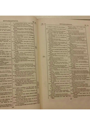 The Apocrypha Revised Version Translated From Greek Latin Thomas Nelson 1894 VTG